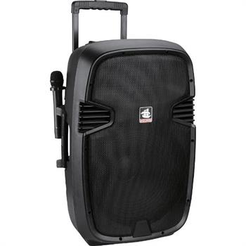 Gold Audio PA 8815 EE Taşınabilir Amfi