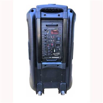 Gold Audio PRO 5415 EY Taşınabilir Amfi