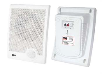 Wöller W-520 Duvar Hoparlör