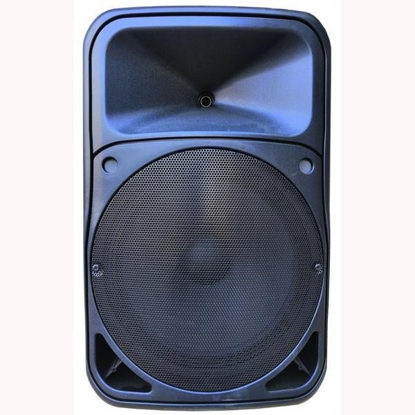 Gold Audio PRO 5412 EY Taşınabilir Amfi