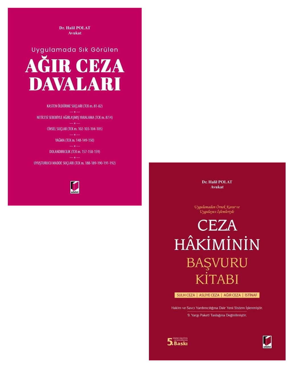 Ağır Ceza Davaları + Ceza Hakiminin Başvuru Kitabı Kampanya Seti