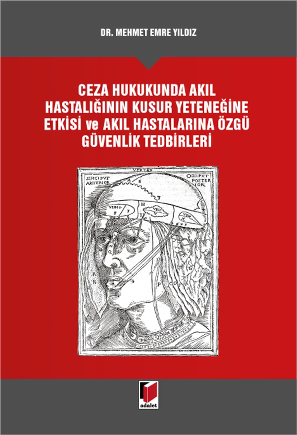 Ceza Hukukunda Akıl Hastalığının Kusur Yeteneğine Etkisi ve Akıl Hastalarına Özgü Güvenlik Tedbirleri