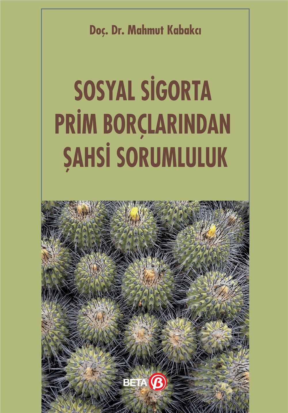Sosyal Sigorta Prim Borçlarından Şahsi Sorumluluk
