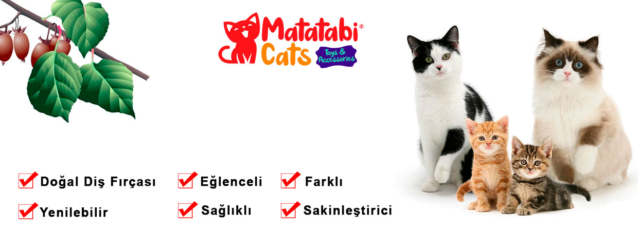 Matatabi Cats