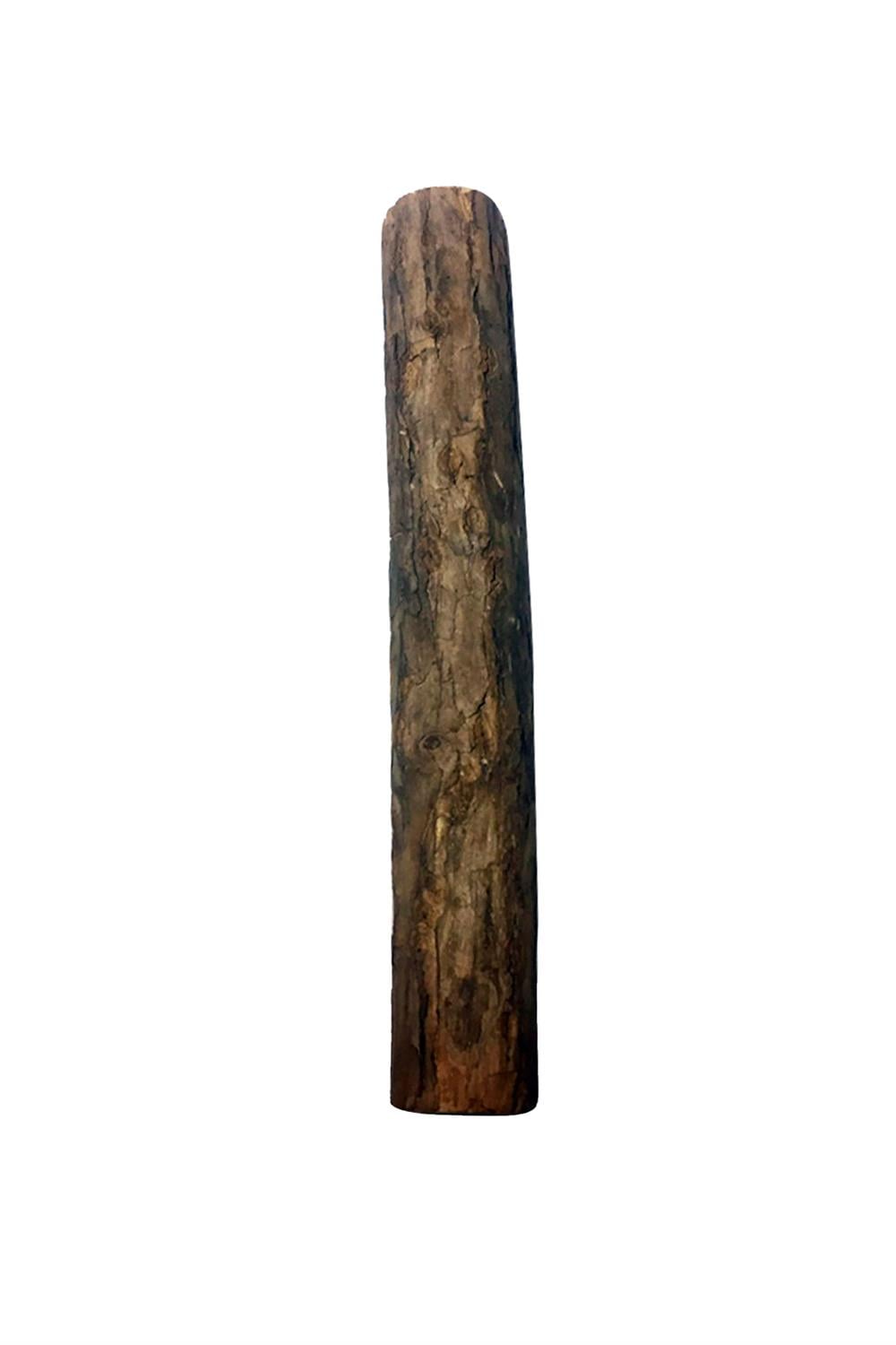 Matatabi STICK MONSTER Doğal Kedi Çiğneme Çubuğu, Kedi Oyuncağı 12 Cm (Kedi Otu/Nanesi Değildir)