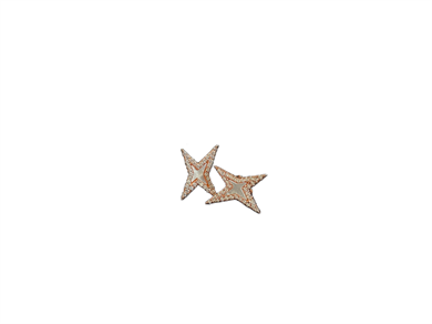 Star Earrings Mother of Pearl