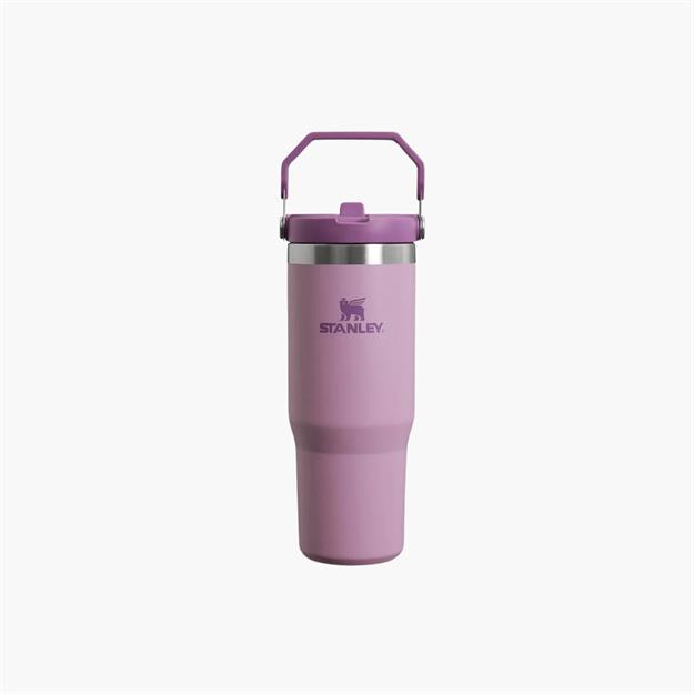 stanley-the-iceflow-flip-straw