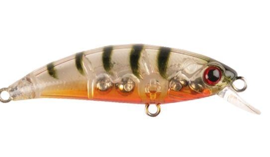 Zıpır K-13 Ghost Shrimp