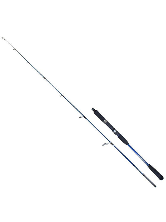 Ryuji Strobe II 1.98m 80-170gr 2P Jig Olta Kamışı