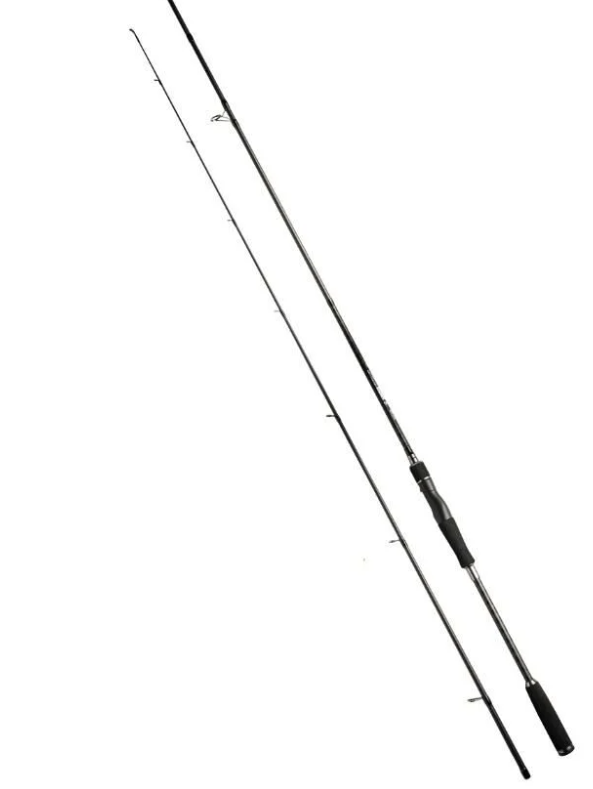 Fujin Dragon Monster 275cm 20-60gr Spin Kamışı