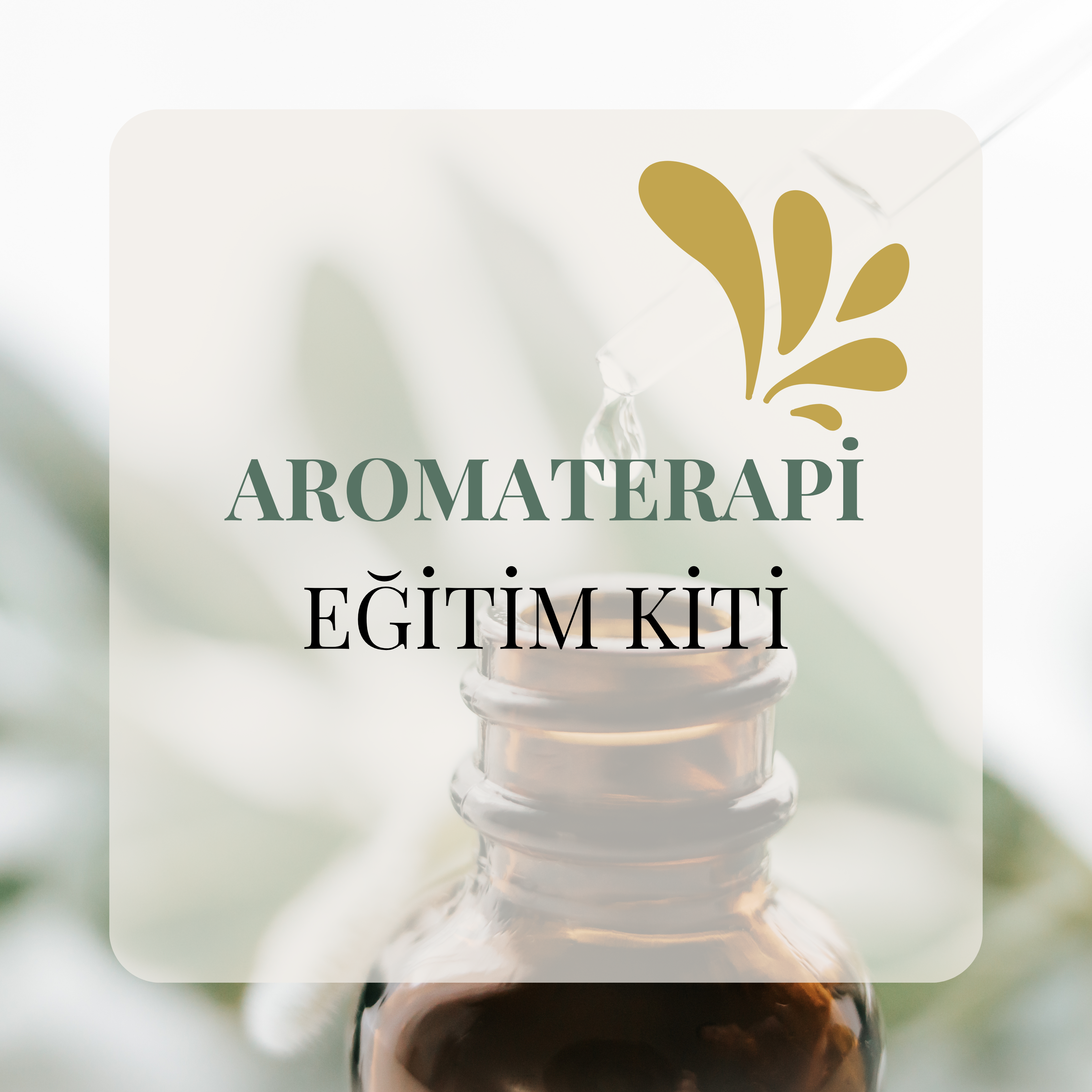 Aromaterapi Eğitim Kiti