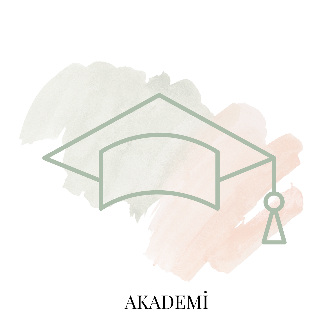 Akademi