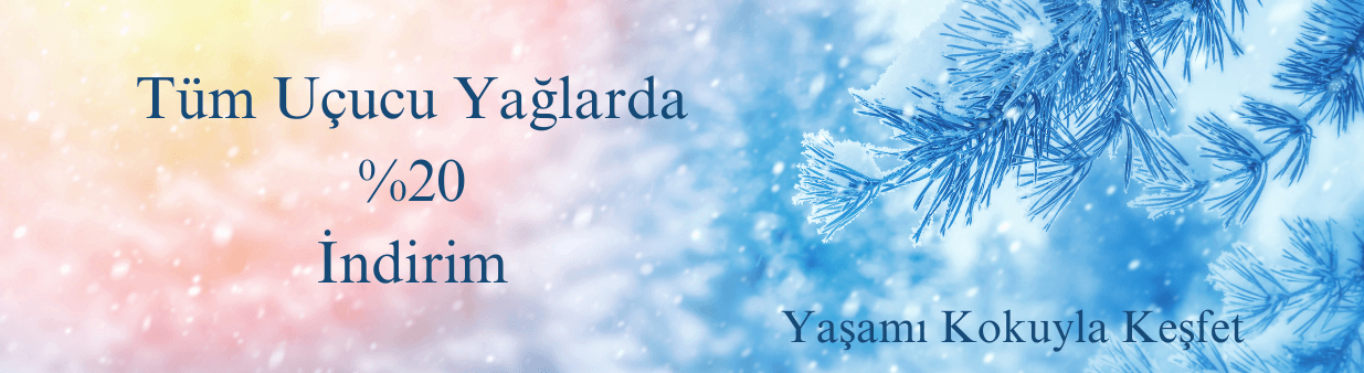 Akademi