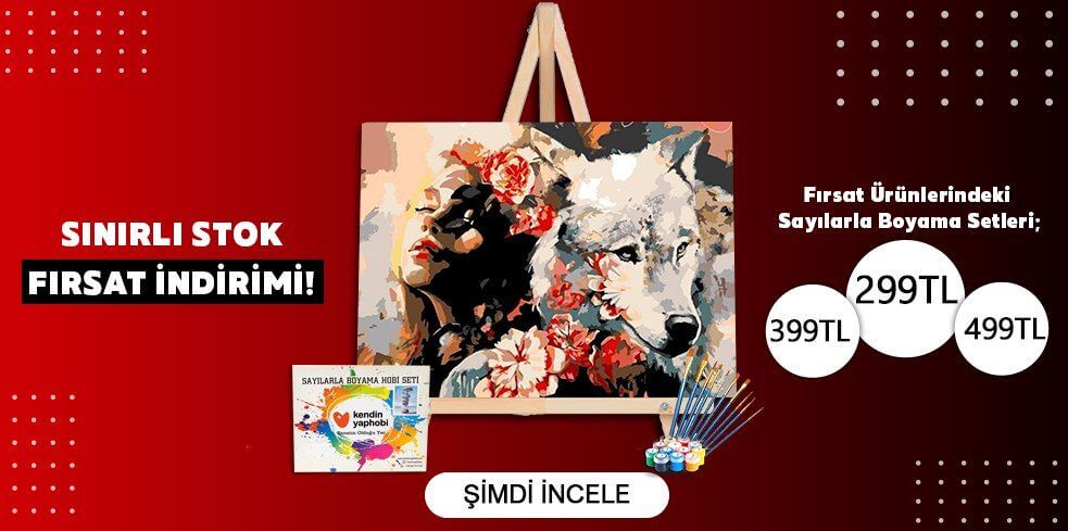 çok satan sayılarla boyama setleri