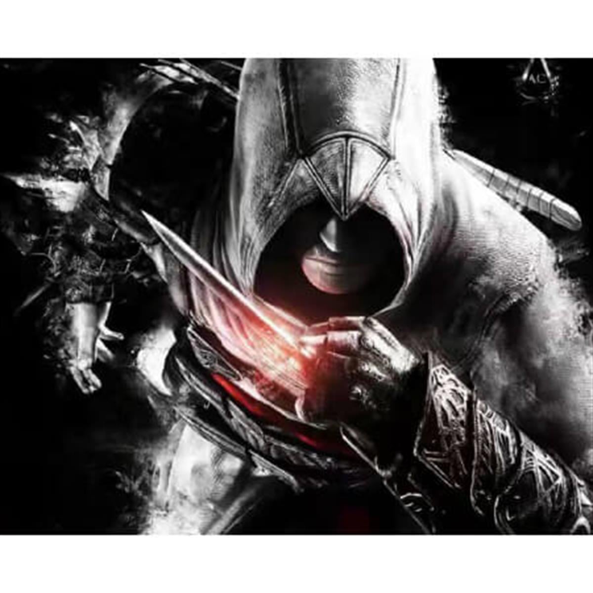 Sayılarla Boyama Seti Assassin's Creed