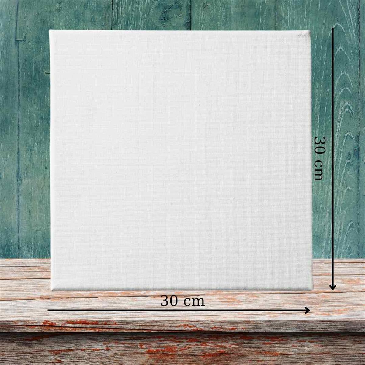 Sayılarla Boyama Seti Boş Tuval 30x30cm