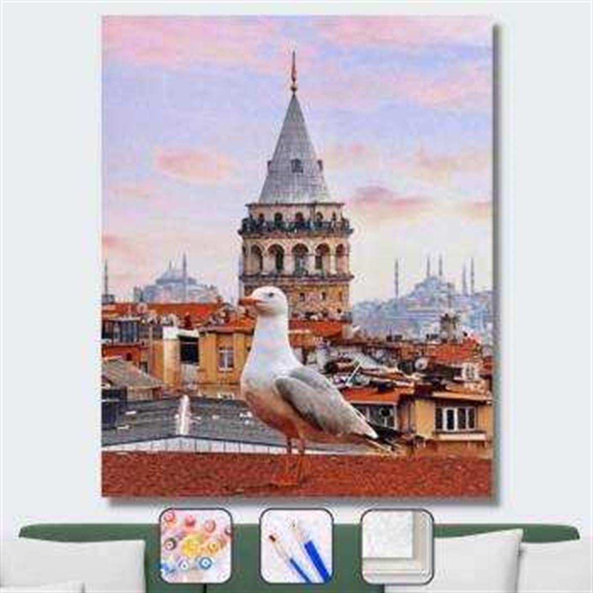 Sayılarla Boyama Seti Galata Kulesi ve Martı