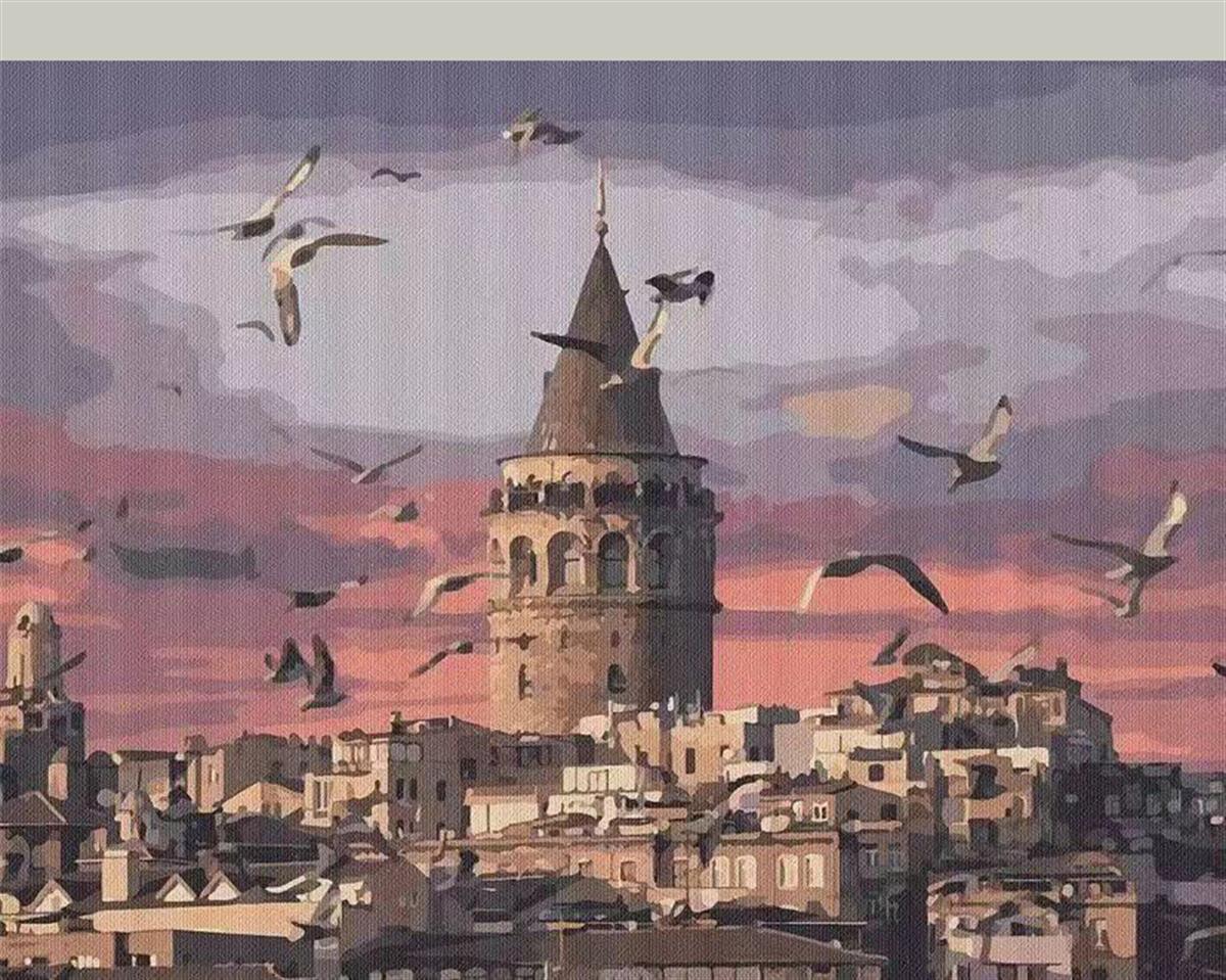 Sayılarla Boyama Seti Galata Ve Martılar