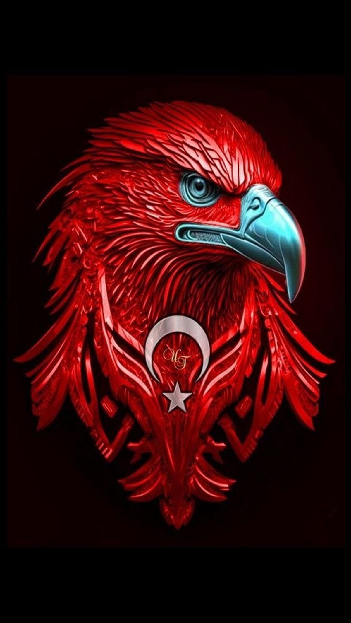 Sayılarla Boyama Seti Kartal 3