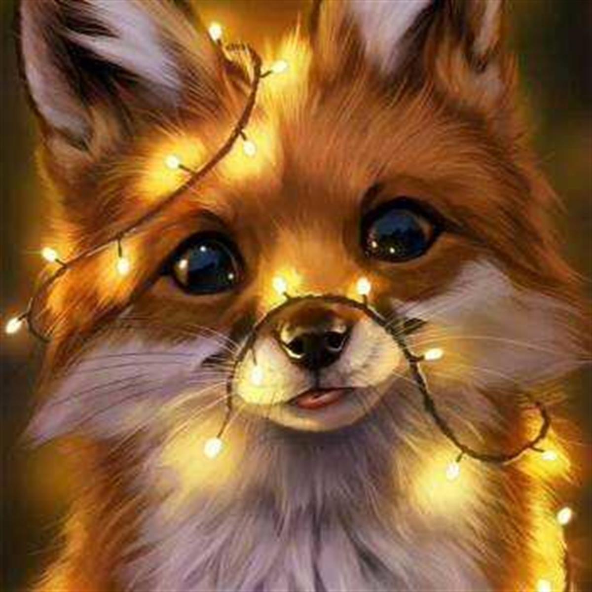 Sayılarla Boyama Seti Led Işıklı Tilki 50x65cm