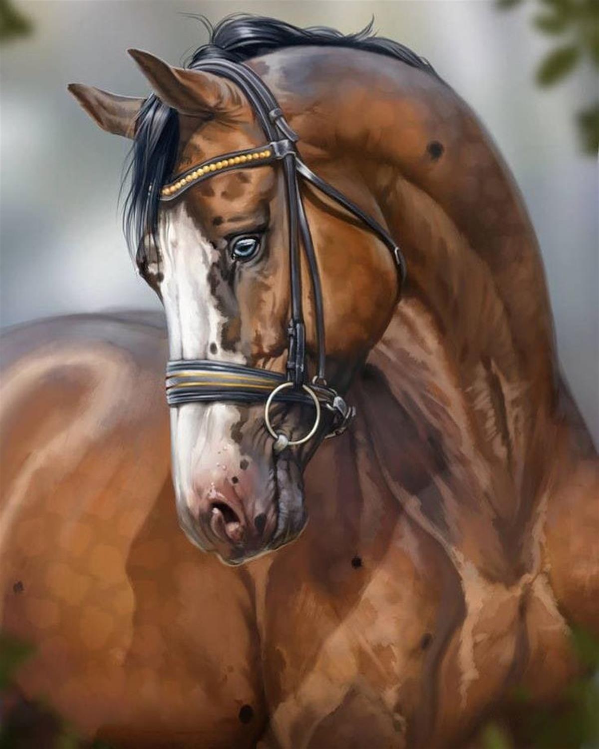 Sayılarla Boyama Seti Nazlı At