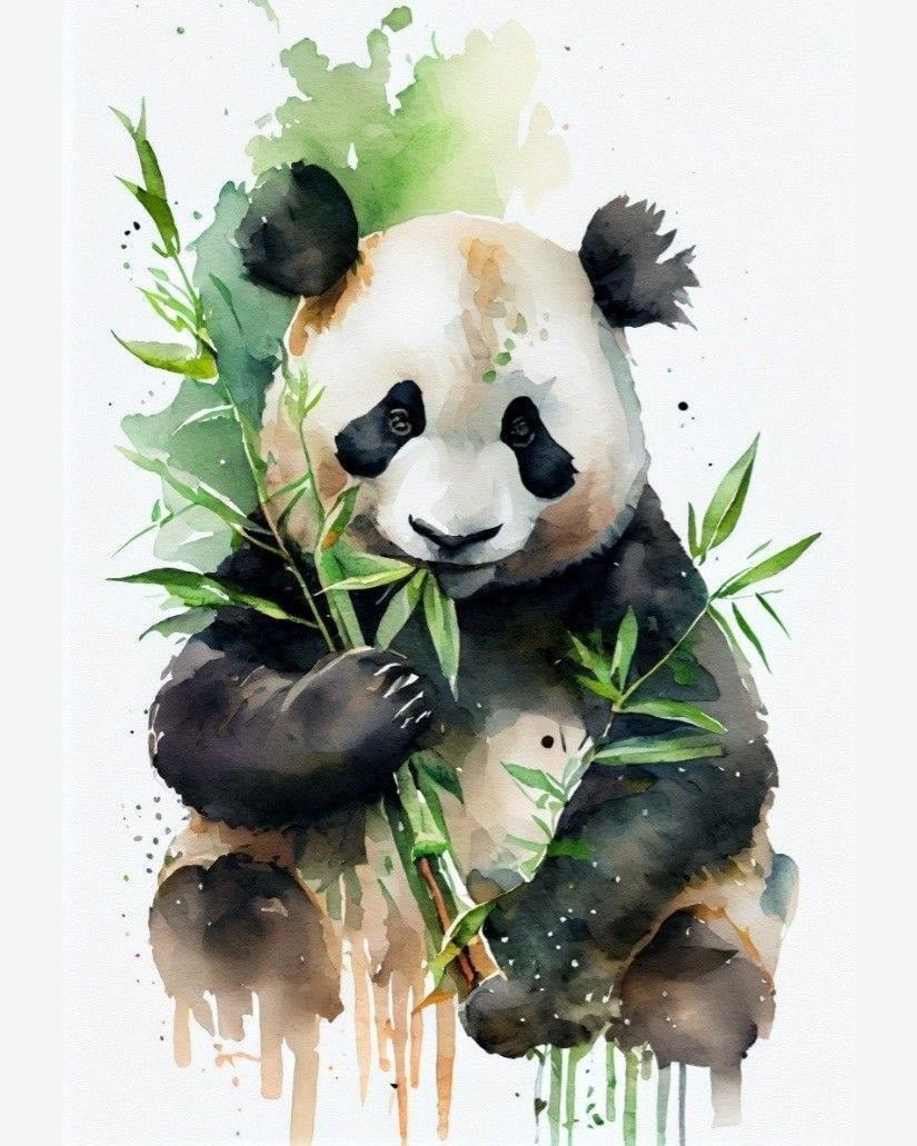 Sayılarla Boyama Seti Obur Panda