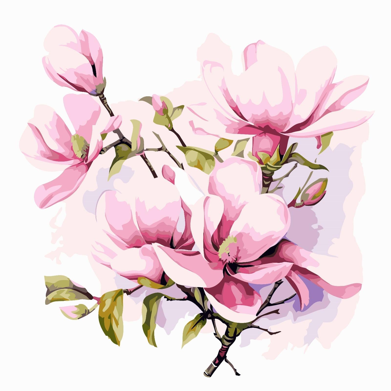 Sayılarla Boyama Seti Pembe Manolyalar