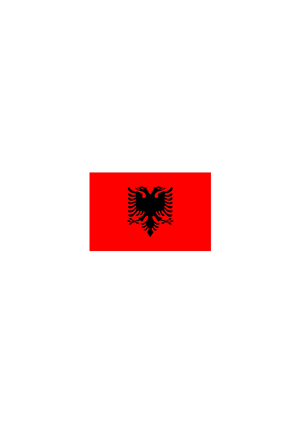 Kendin Tasarla Arma Peç Patch Yama Arnavutluk