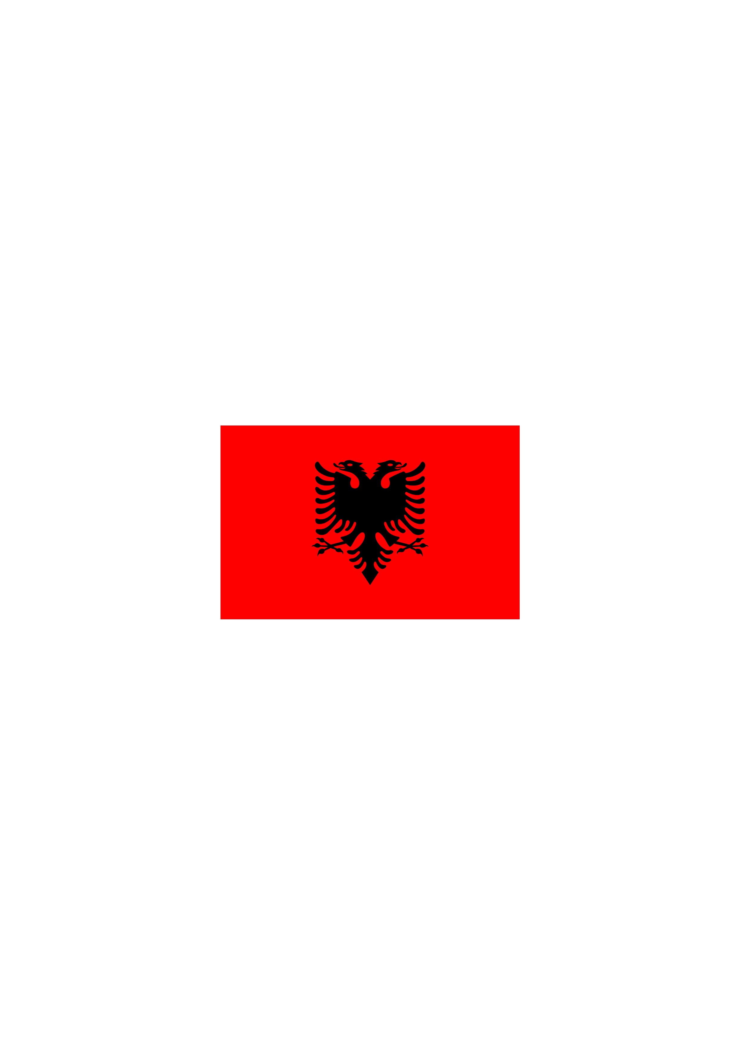 Kendin Tasarla Arma Peç Patch Yama Arnavutluk