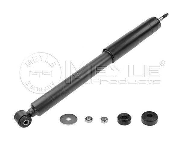 AMORTİSÖR ARKA  124-201