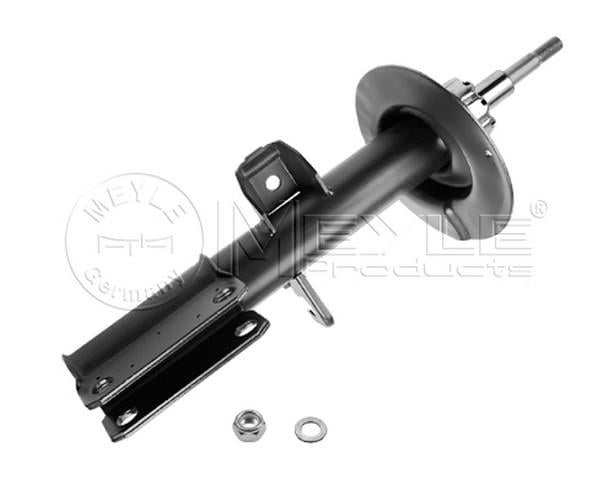 AMORTİSÖR ÖN SOL E53