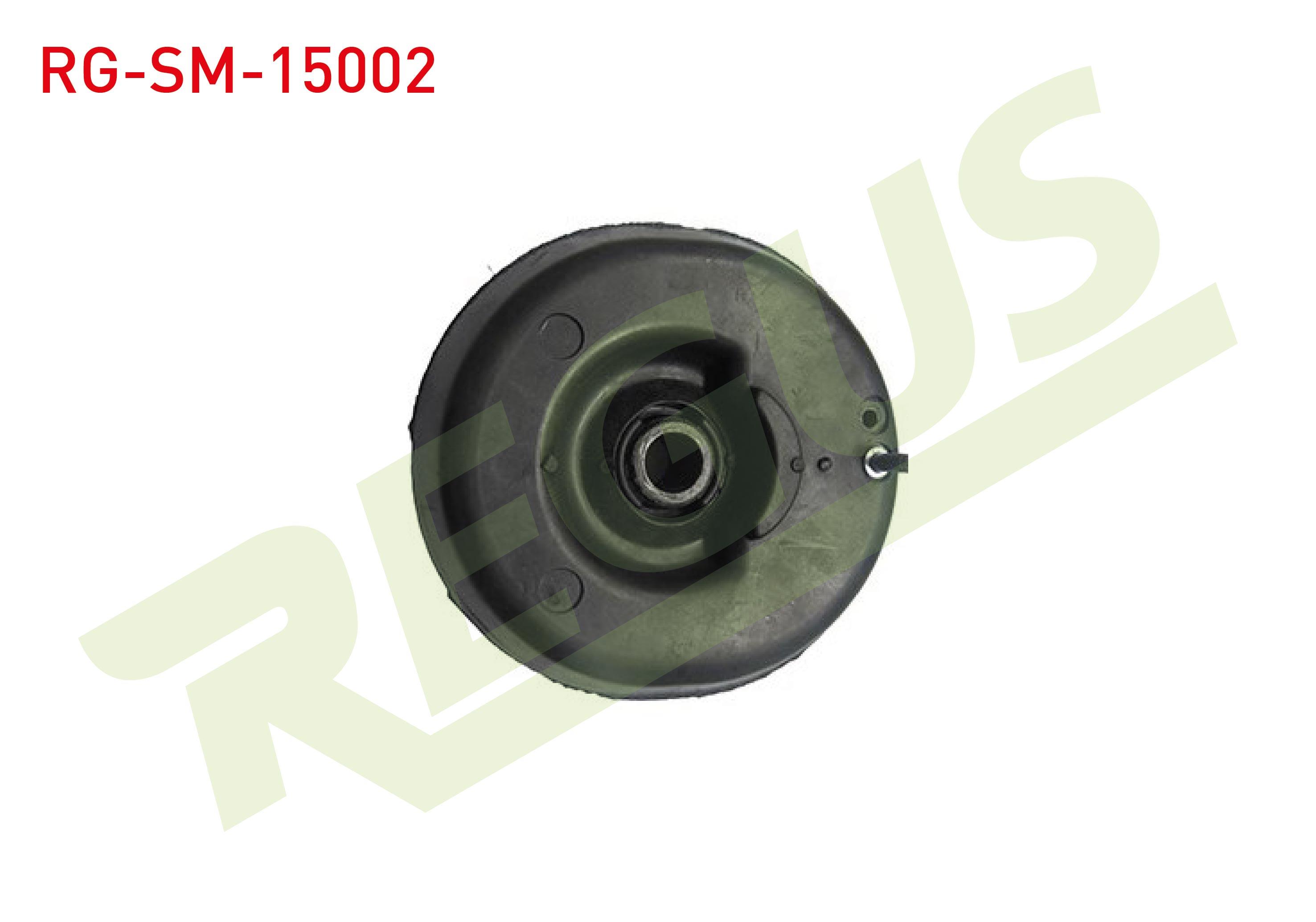 AMORTISOR TAKOZU ON SOL-SAG CITROEN C2 (JM) 1.1i 2003-2009