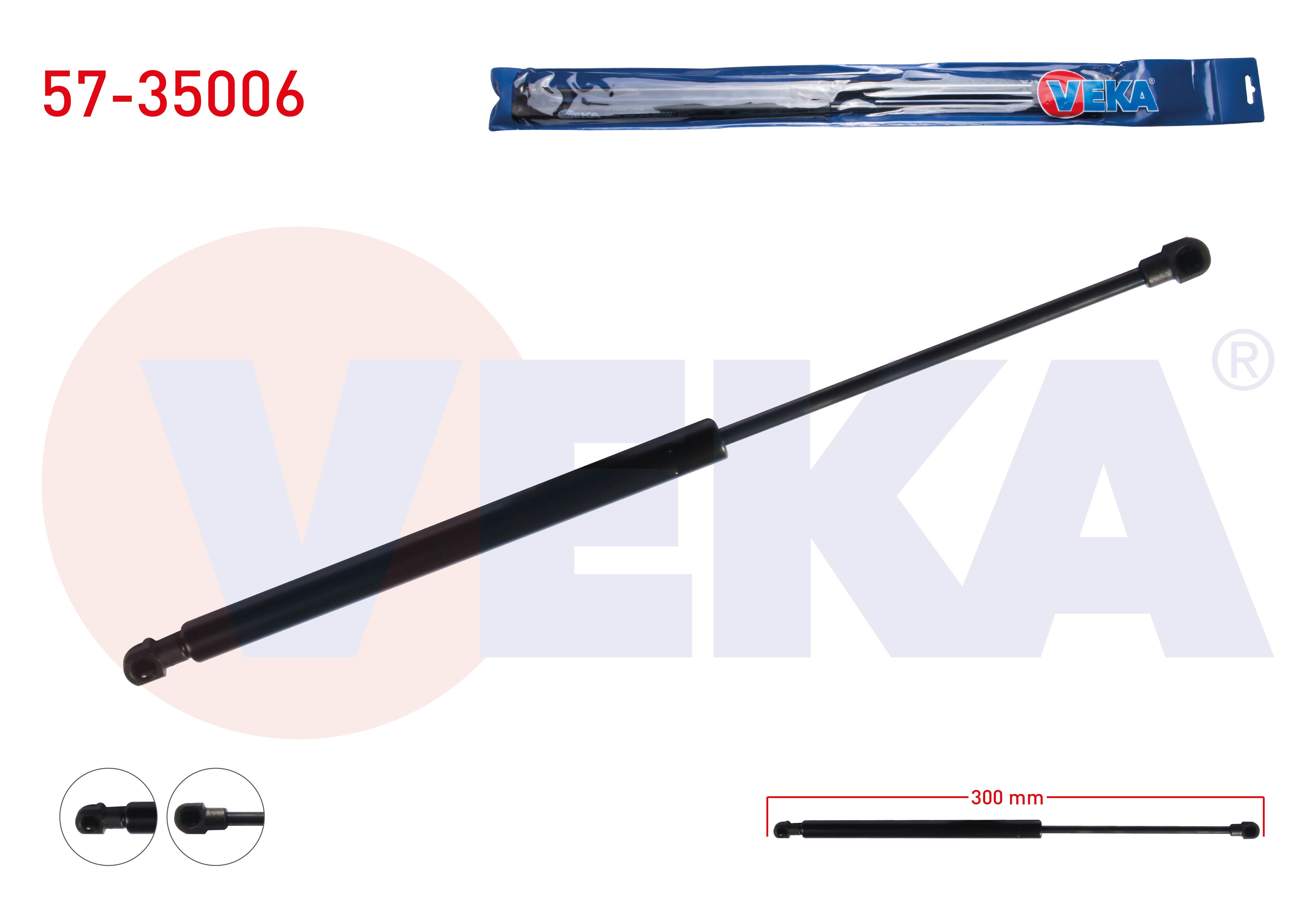 BAGAJ AMORTISORU 450mm/385N RENAULT CLIO III (BR0/1,CR0/1) 2005-2012