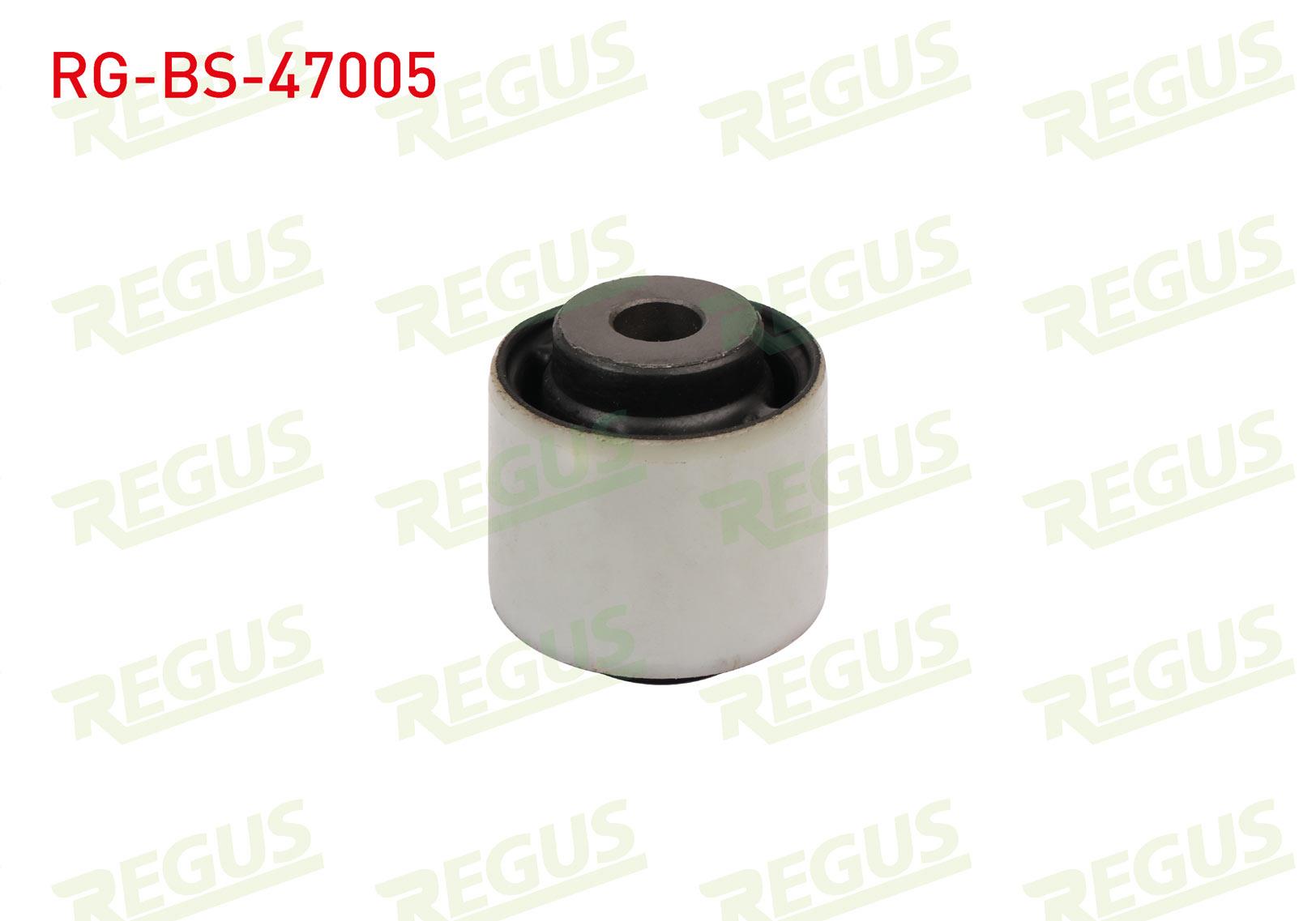 DENGE KOL BURCU ARKA SOL-SAG DACIA DUSTER 1.5 DCI 2010-