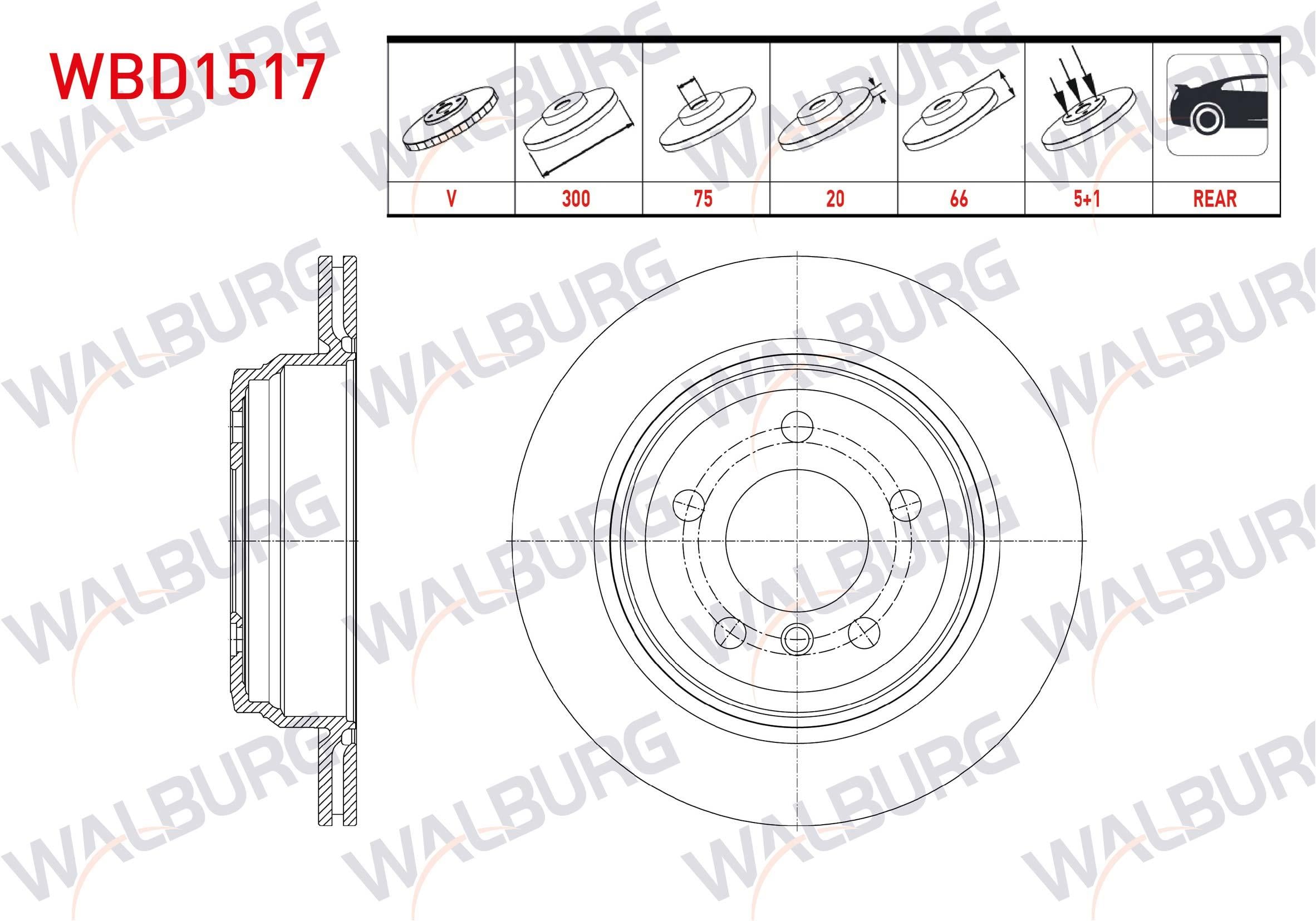 FREN DISKI ARKA HAVALI BMW 3 SERISI (F30) 320 D xDrive 5 BIJON 300X20X75X66 2011-