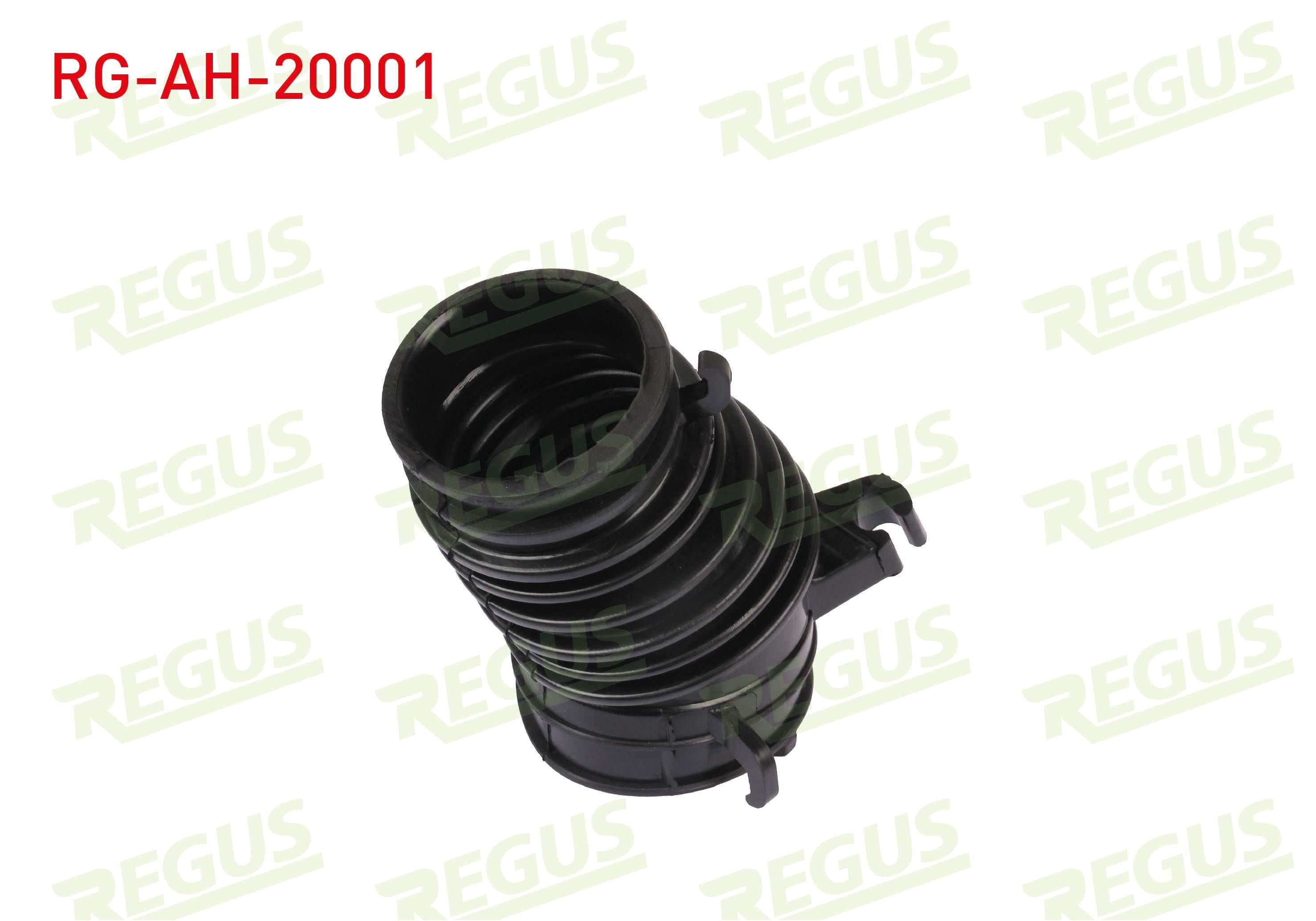 HAVA FILTRE HORTUMU HONDA CIVIC 1.6 2018-