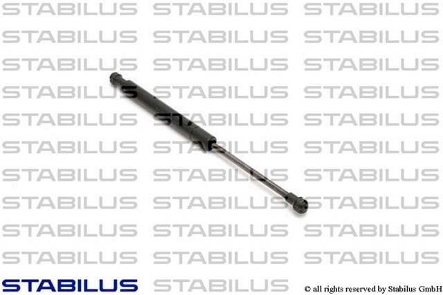 KAPUT AMORTİSÖRÜ   E46