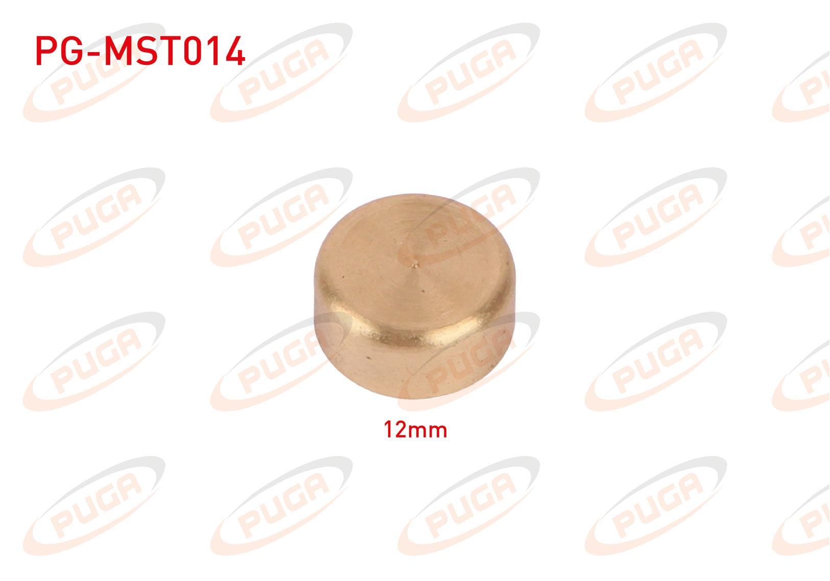 MOTOR BLOK SU TAPASI 12mm SARI PIRINC
