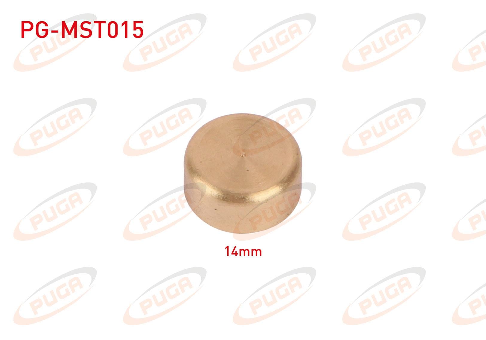 MOTOR BLOK SU TAPASI 14mm SARI PIRINC