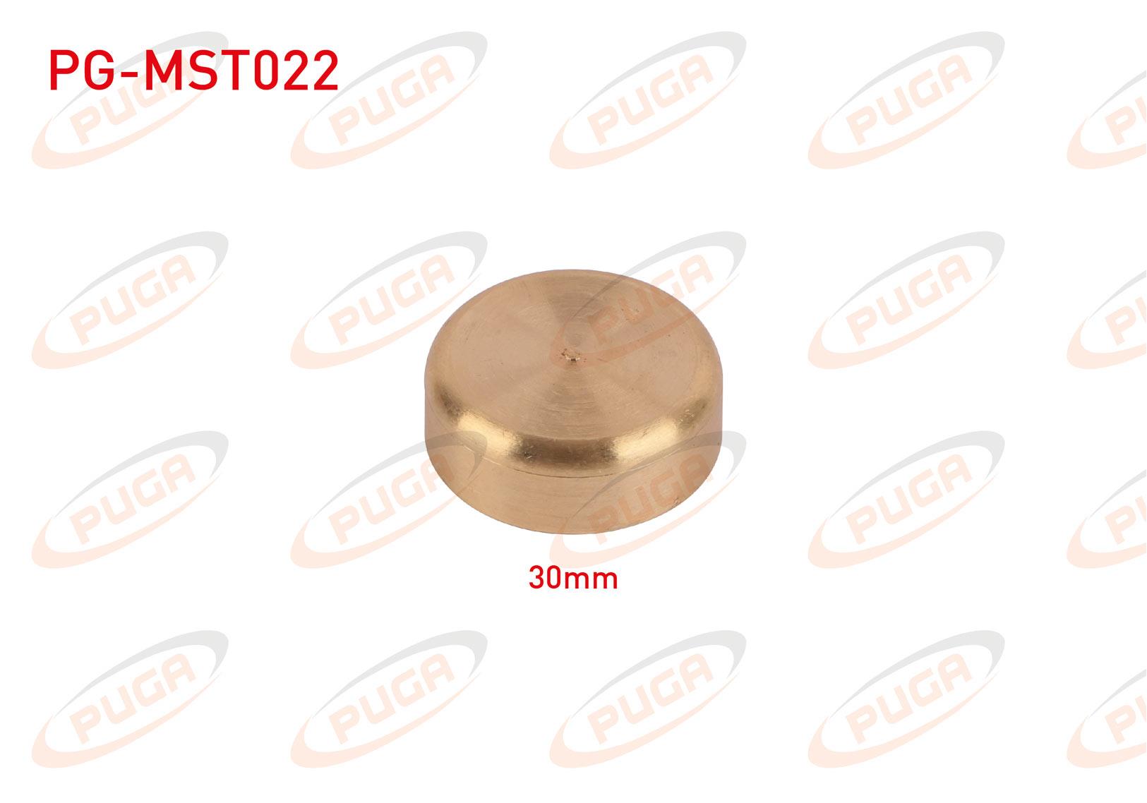 MOTOR BLOK SU TAPASI 30mm SARI PIRINC