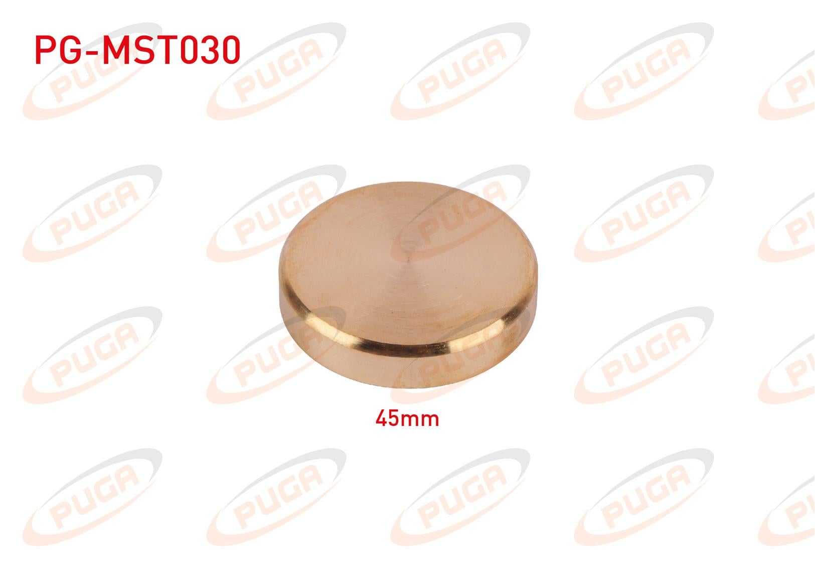 MOTOR BLOK SU TAPASI 45mm SARI PIRINC