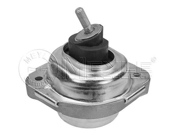 MOTOR KULAĞI  SAĞ E83 N46