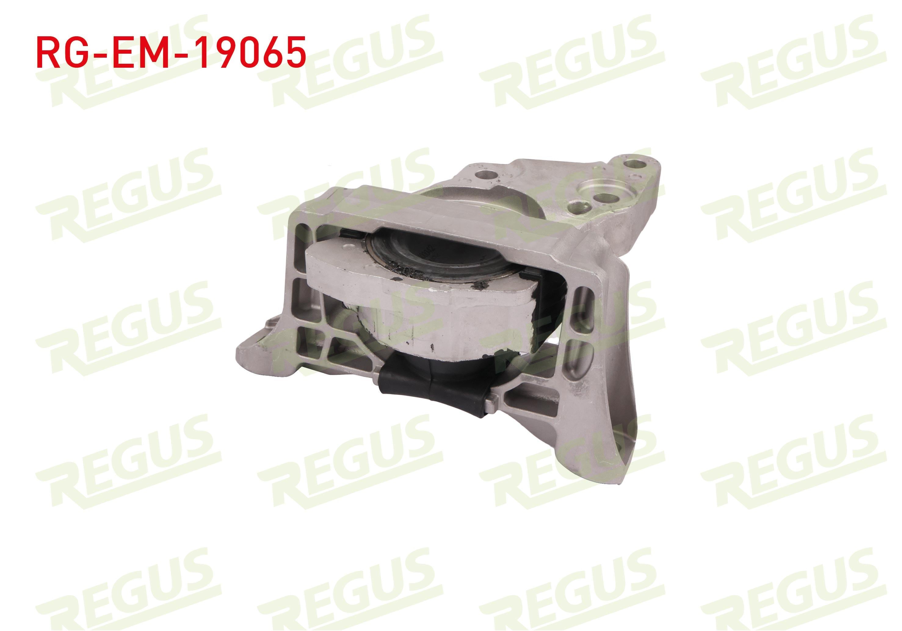 MOTOR TAKOZU FOCUS III 2.0 TDCI 2014- / C-MAX 2.0 TDCI  2015-