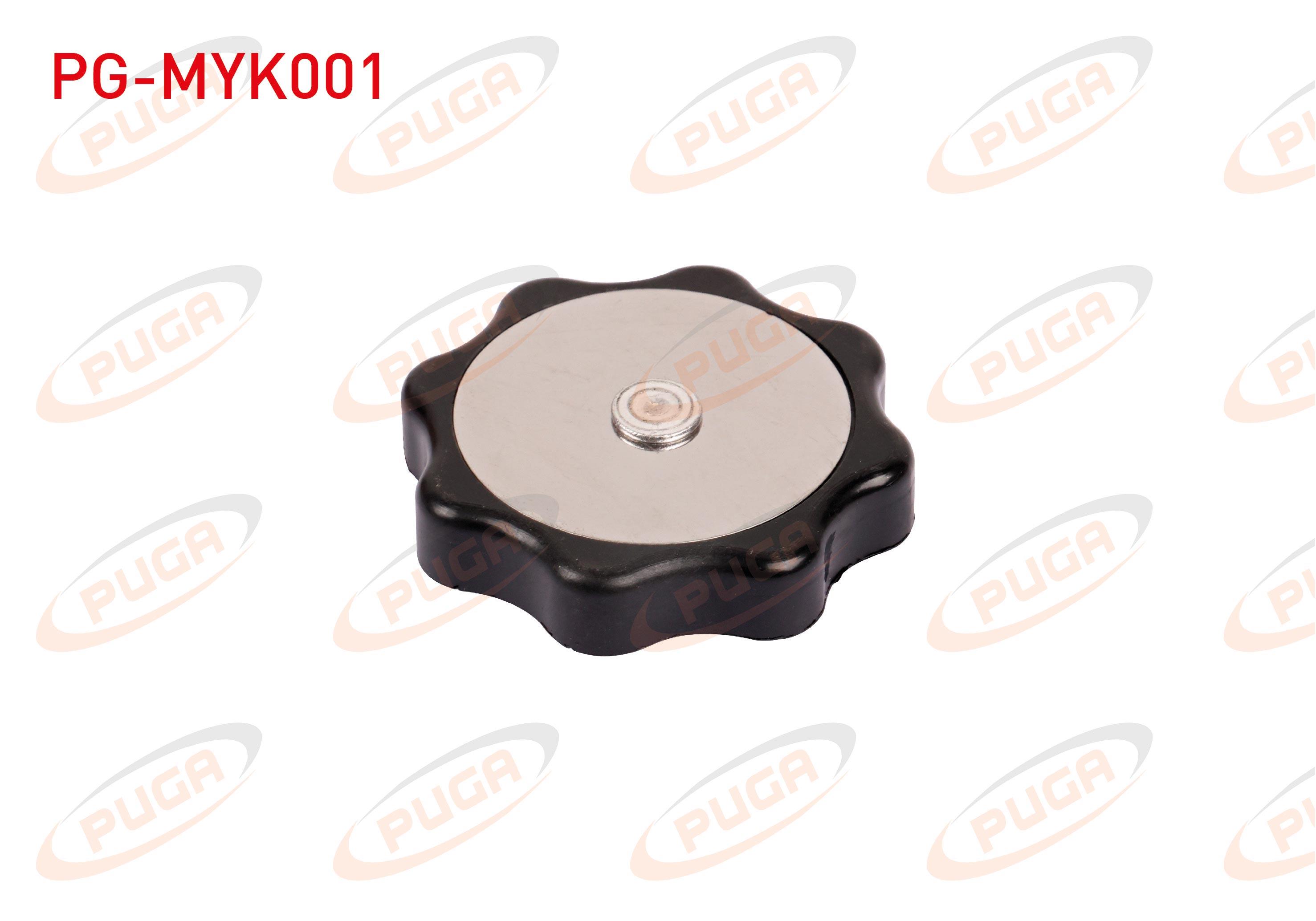 MOTOR YAG KAPAGI RENAULT 12