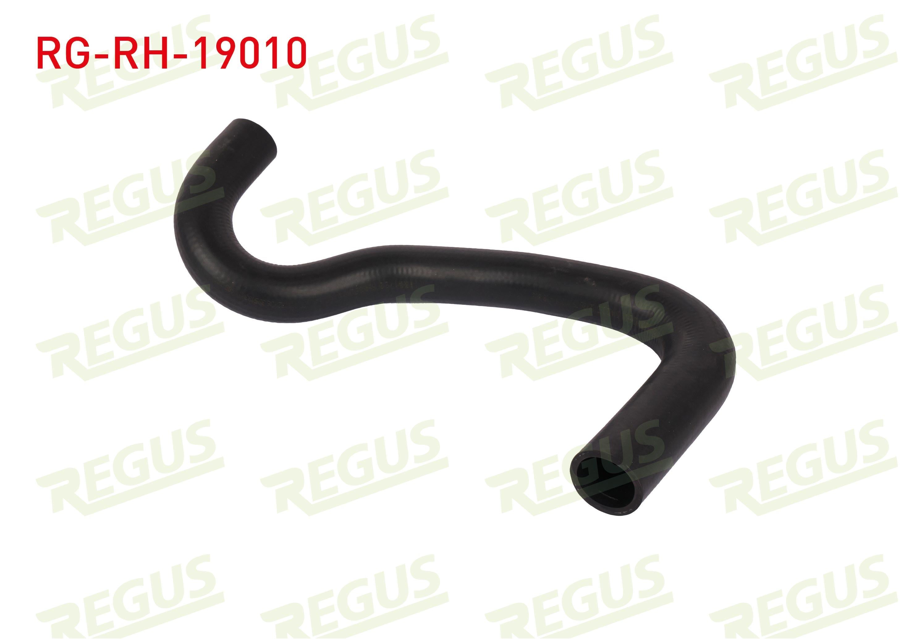 RADYATOR HORTUMU ALT FORD FIESTA VI 1.25i 2008-2012