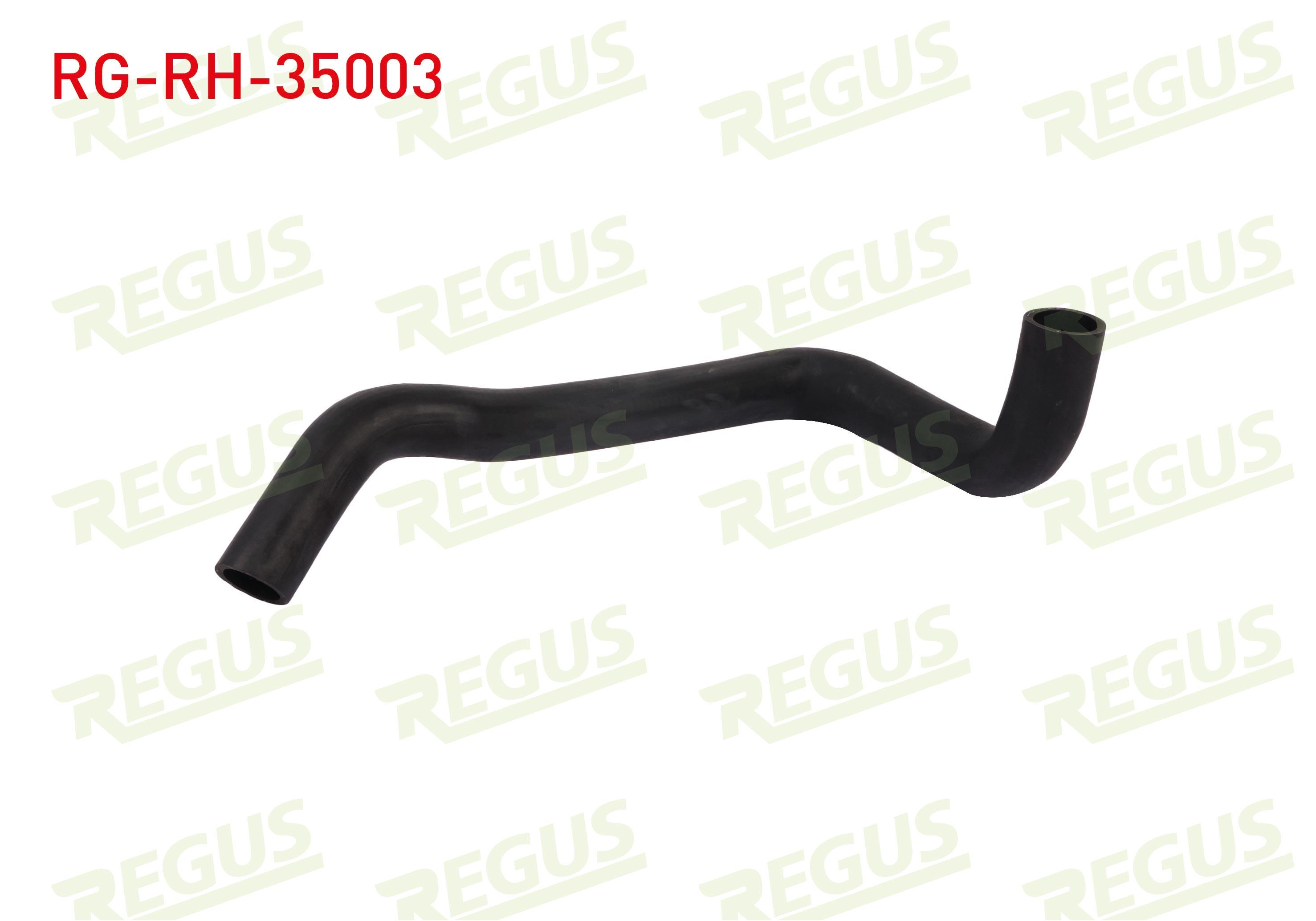 RADYATOR HORTUMU ALT RENAULT MEGANE II (BM0/1,CM0/1) 1.6 16v 2008-2010