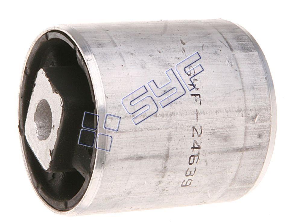 SALINCAK BURCU   BMW 5 E39 1995-2004