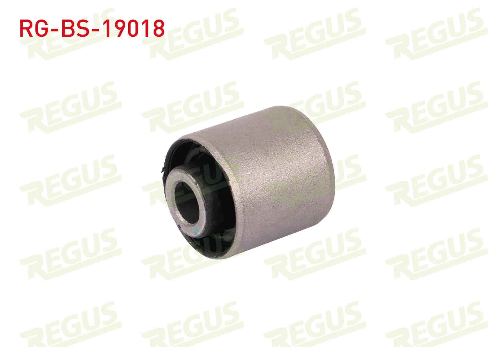 SALINCAK BURCU ARKA SOL-SAG ALT FORD FOCUS I (DAW,DBW) 1.4i 16v 1998-2004