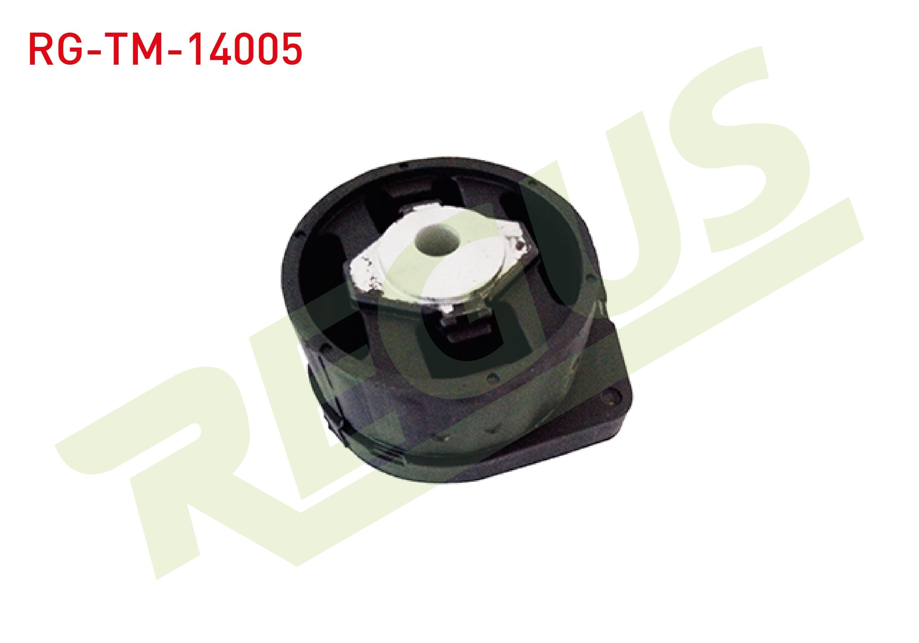 SANZIMAN TAKOZU ARKA ALT A-T/M-T BMW 3 SERISI (E46) 316 i 1998-2005