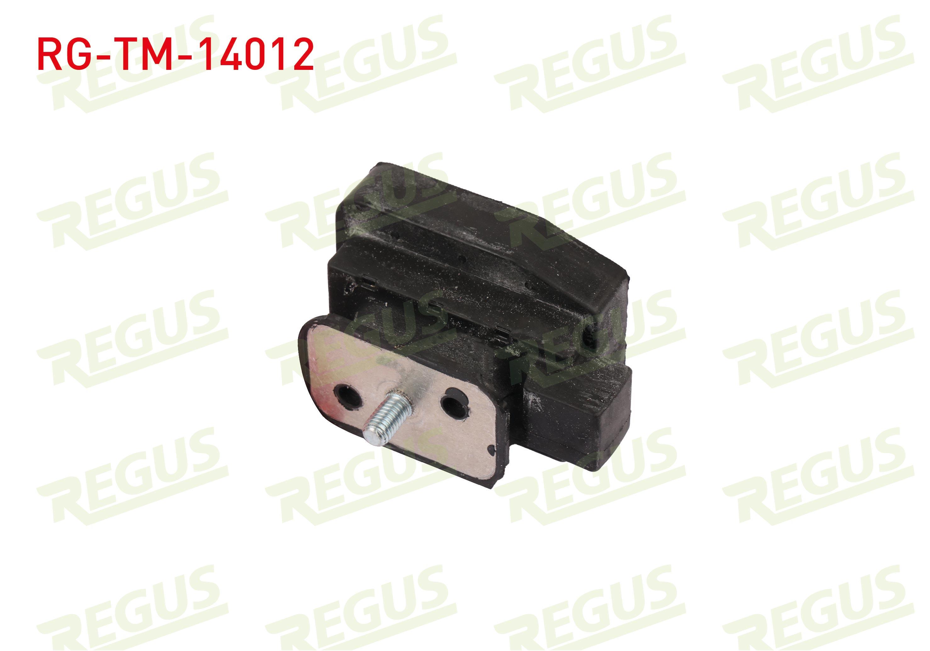 SANZIMAN TAKOZU ARKA ALT M-T BMW 5 SERISI (E60) 520 D 2003-2010